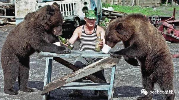 俄罗斯人打熊搞笑视频