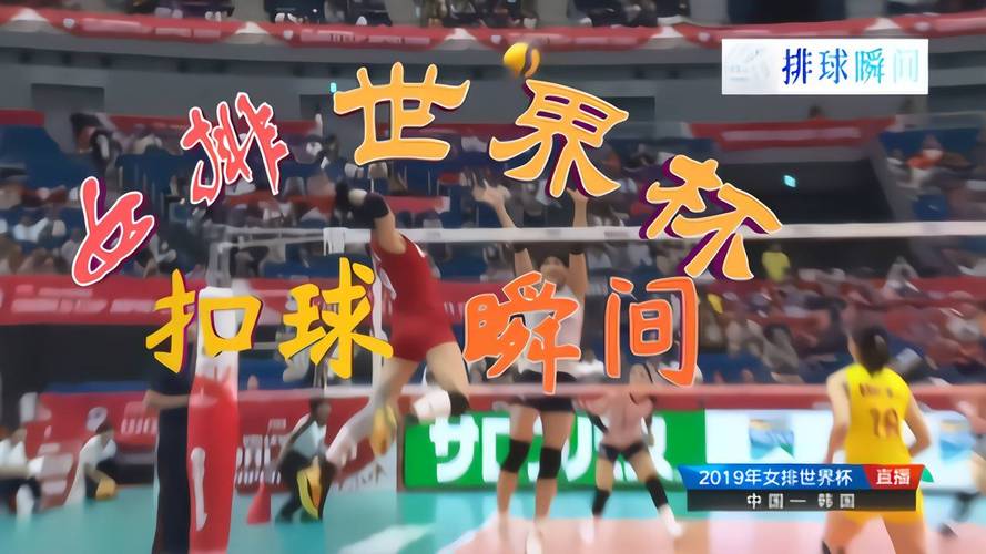 排球中国vs韩国直播视频