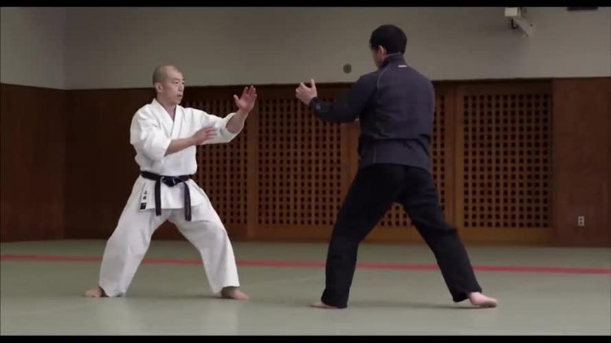 日本忍术vs日本武术比赛
