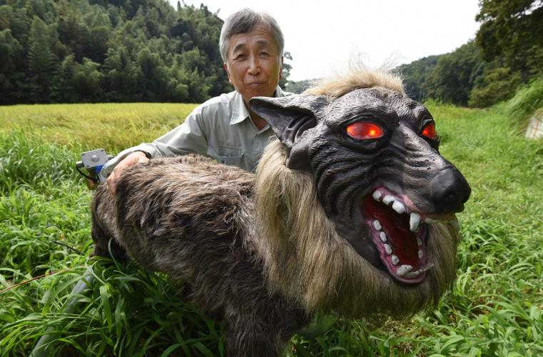 日本有什么大型猛兽