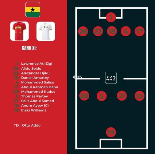 加纳vs葡萄牙进球节点的相关图片