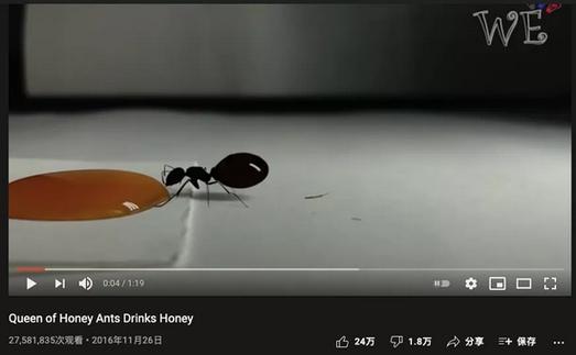 小日子vs中国小蚂蚁视频的相关图片