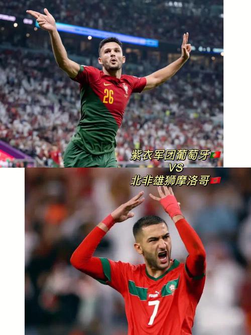 摩洛哥vs中国勇士的相关图片