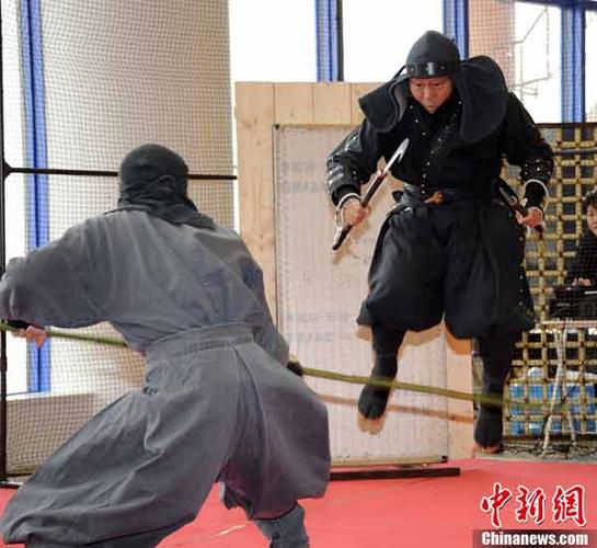 日本忍术vs日本武术比赛的相关图片