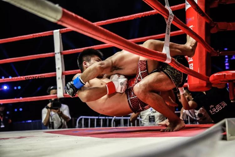 日本柔道vs古泰拳比赛的相关图片