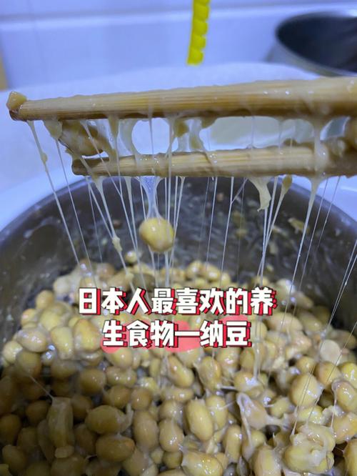 日本纳豆vs中国豆豉的相关图片