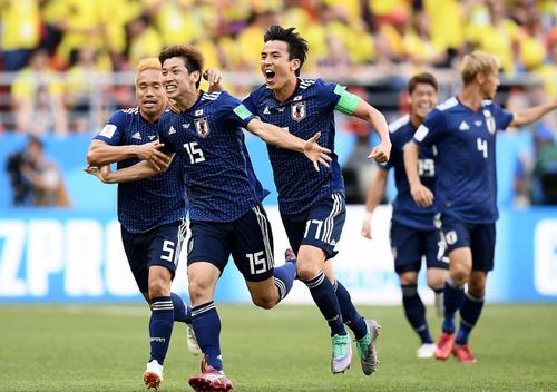 日本鹦鹉预测日本vs塞内加尔足球的相关图片