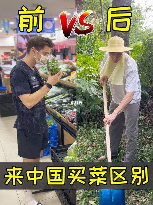 来中国前买菜vs来中国后的相关图片