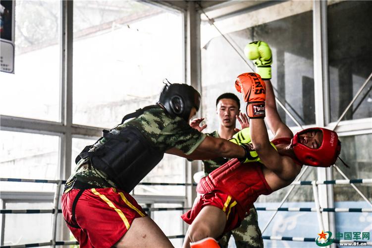 美国拳王vs中国武警视频的相关图片